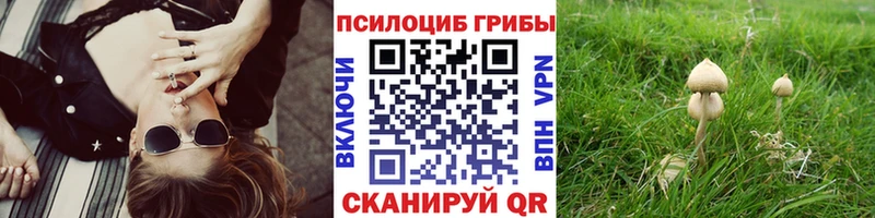 Псилоцибиновые грибы Cubensis Павловская